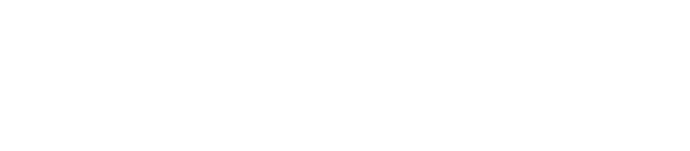 SaveNet Logo